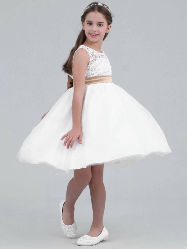 Toddler/Kids Girls A-line Party Dress thumb
