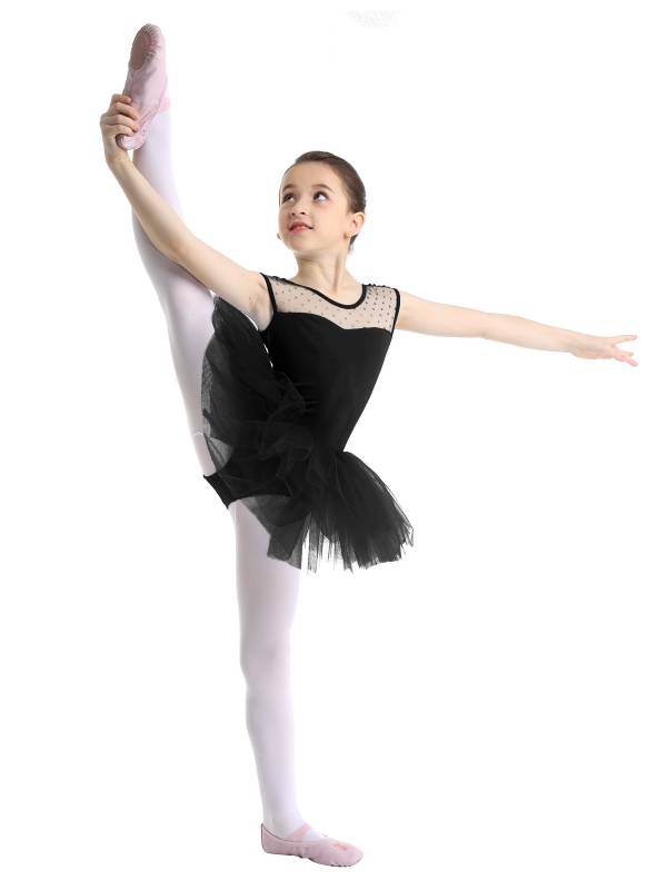 Kids Girls Sleeveless Mesh Ballet Dance Leotard Tutu Dress thumb