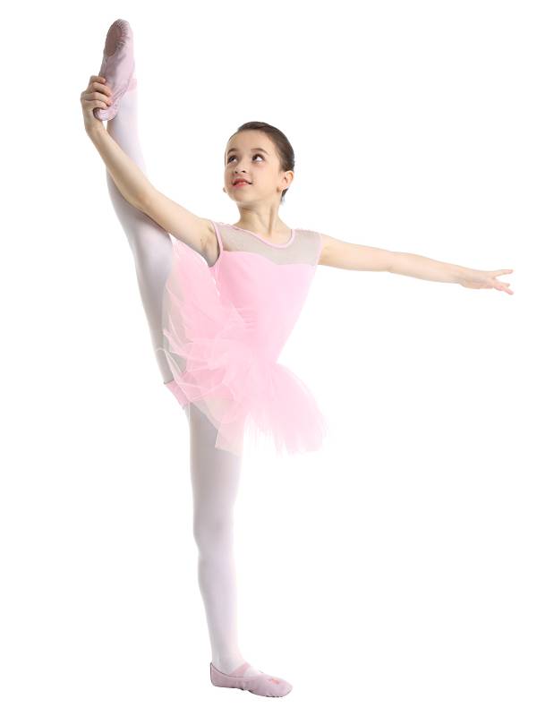 Kids Girls Sleeveless Mesh Ballet Dance Leotard Tutu Dress thumb
