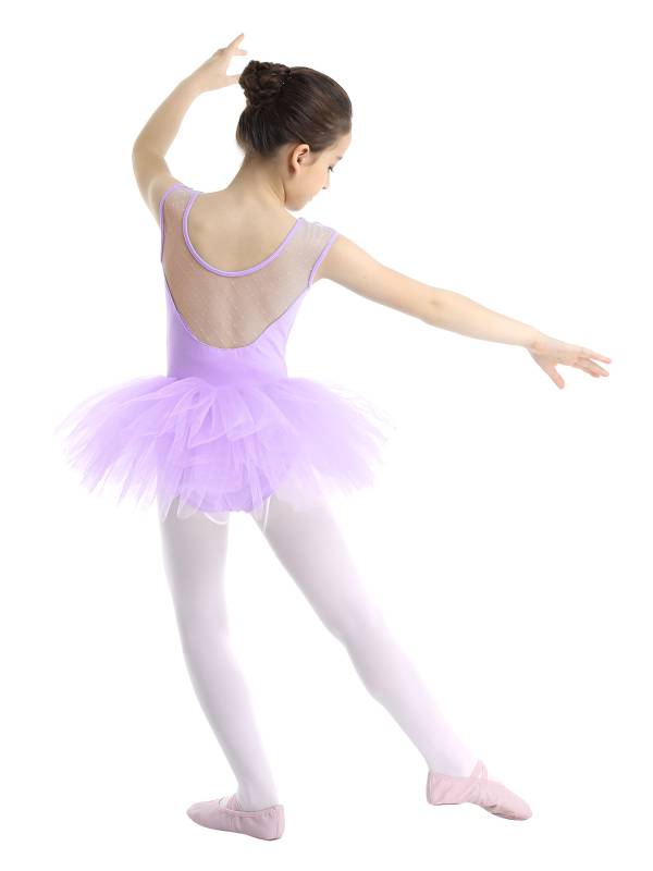 Kids Girls Sleeveless Mesh Ballet Dance Leotard Tutu Dress thumb