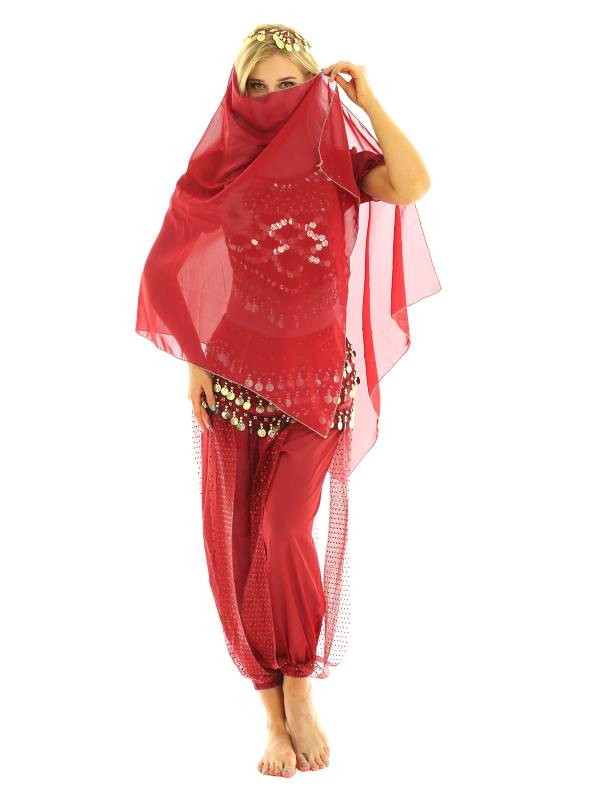 Women 4Pcs Belly Dance Puff Sleeve Sequin Crop Top with Pants Sets thumb
