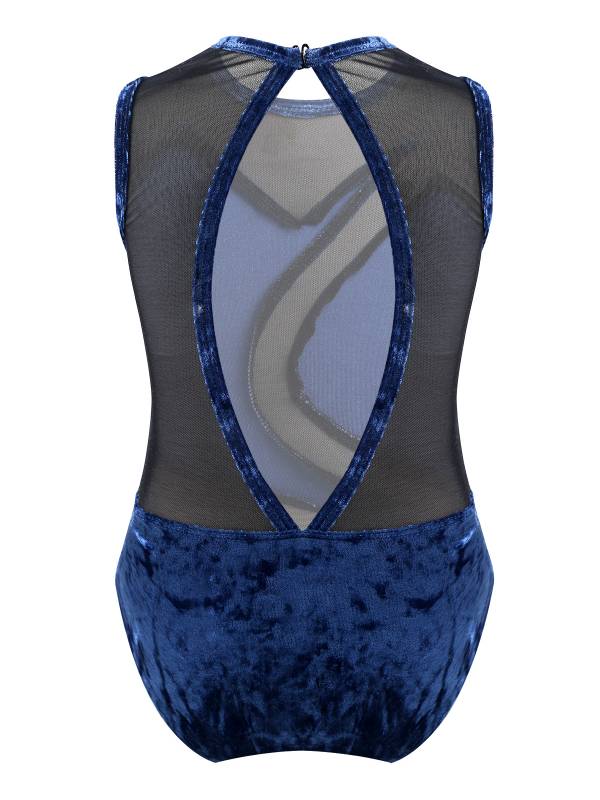 Kids Girls Sleeveless Pleuche Mesh Ballet Dance Leotard thumb