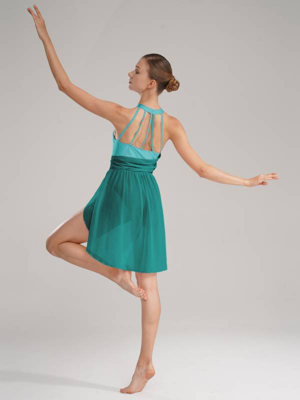 Women Sleeveless Chiffon Lyrical Dance Leotard Dress thumb