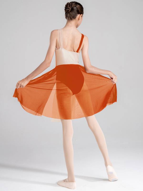 Kids Girls Sleeveless Color Block Lyrical Dance Leotard Dress thumb