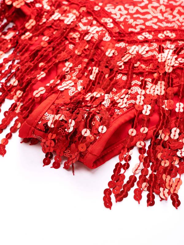 Kids Girls Sleeveless Sequin Tassel Latin Dance Leotards thumb