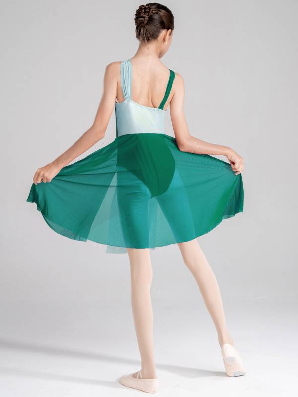 Kids Girls Sleeveless Color Block Lyrical Dance Leotard Dress thumb