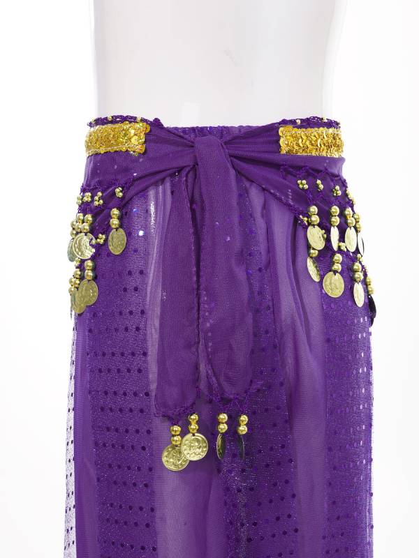 Kids Girls Sequined Chiffon Belly Dance Pants thumb