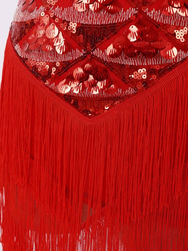 Women V Neck Adjustable Straps Sequins Tassel Latin Dance Dress thumb
