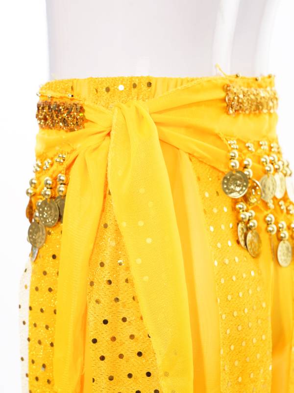 Kids Girls Sequined Chiffon Belly Dance Pants thumb
