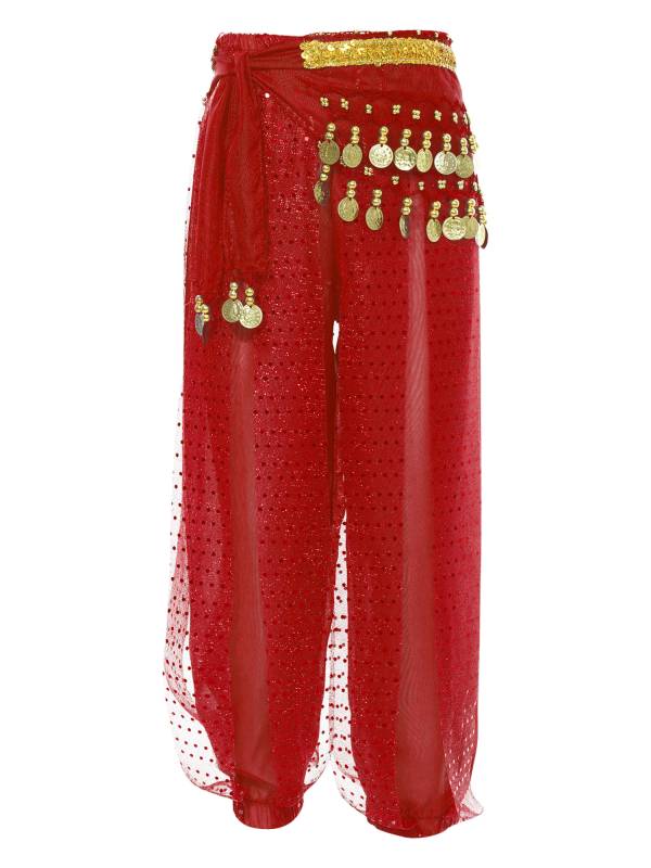 Kids Girls Sequined Chiffon Belly Dance Pants thumb