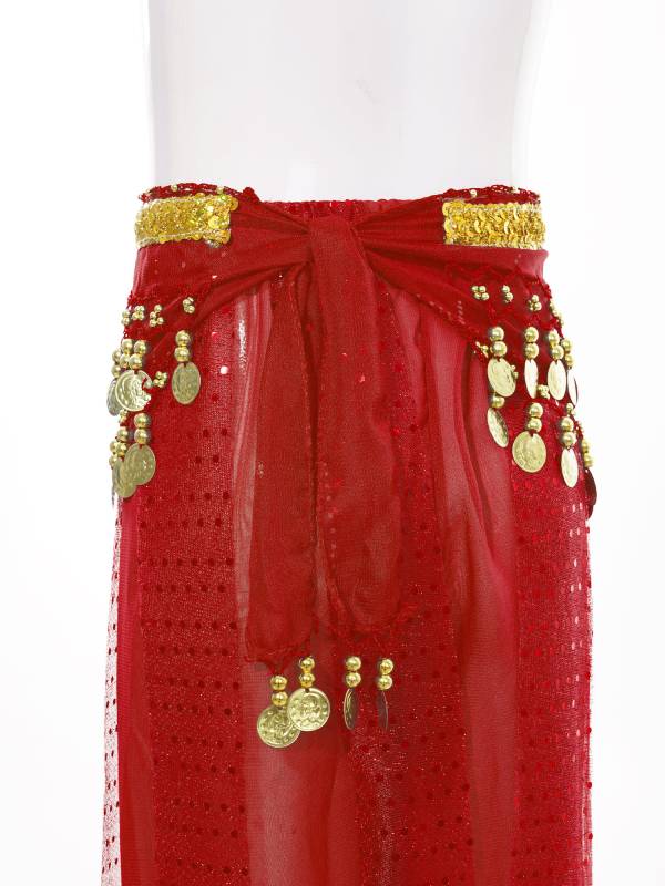 Kids Girls Sequined Chiffon Belly Dance Pants thumb