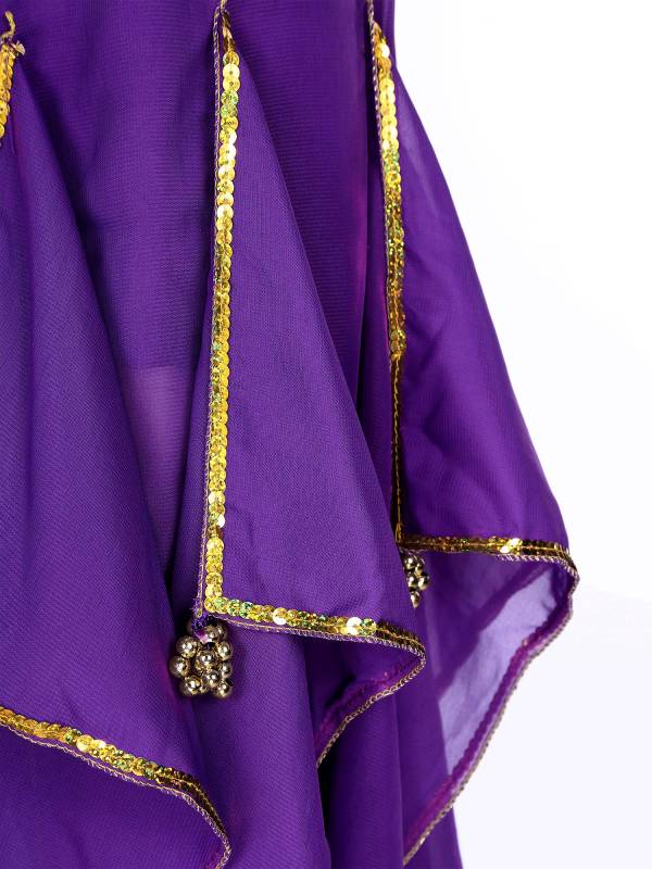 Women Sequin Ruffles Beaded Chiffon Belly Dance Pants thumb