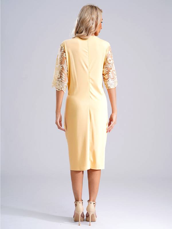 Women Plus Size Embroidery Round Neck Short Sleeve Tea Length Cocktail Dress thumb