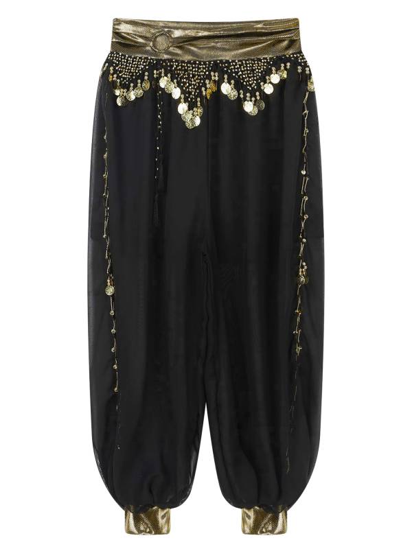 Women Chiffon Plastic Beads Tassels Metallic Side Slit Belly Dance Pants thumb