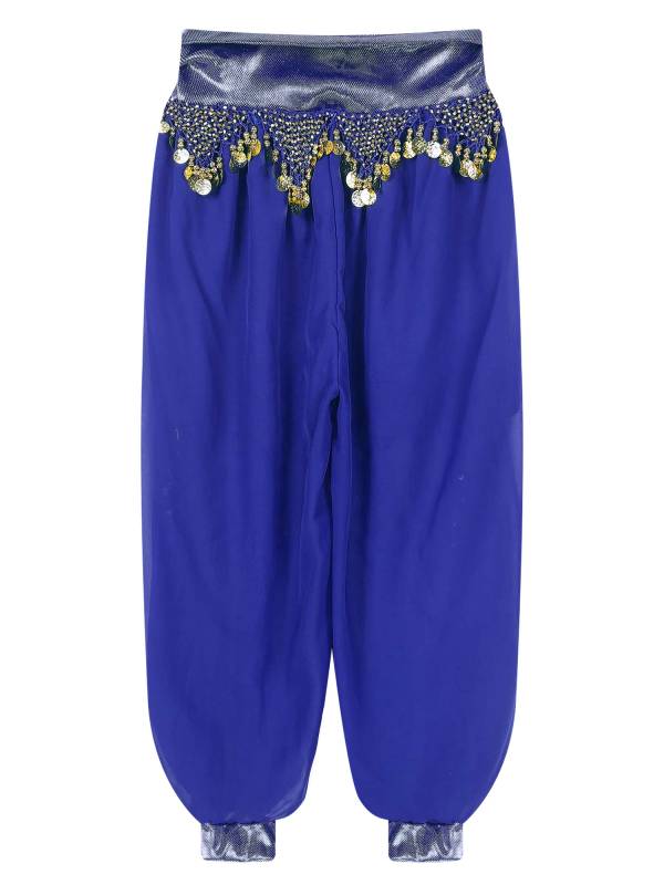 Women Chiffon Plastic Beads Tassels Metallic Side Slit Belly Dance Pants thumb