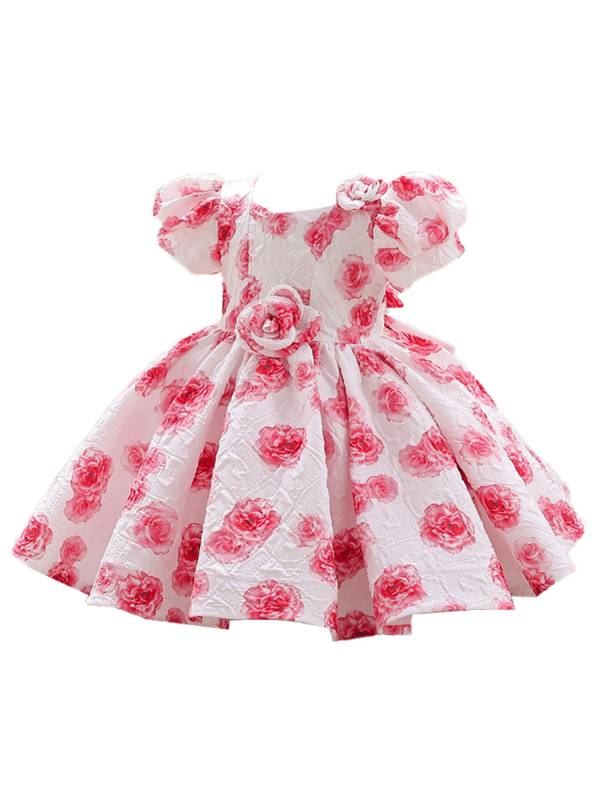Toddler Girls Short Sleeve 3D Flower Applique A-Line Princess Dress thumb