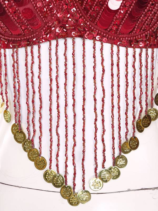 Women Straps Sequins Plastic Beaded Tassels Belly Dance Underwired Bra Top thumb