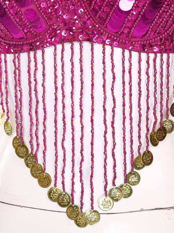 Women Straps Sequins Plastic Beaded Tassels Belly Dance Underwired Bra Top thumb