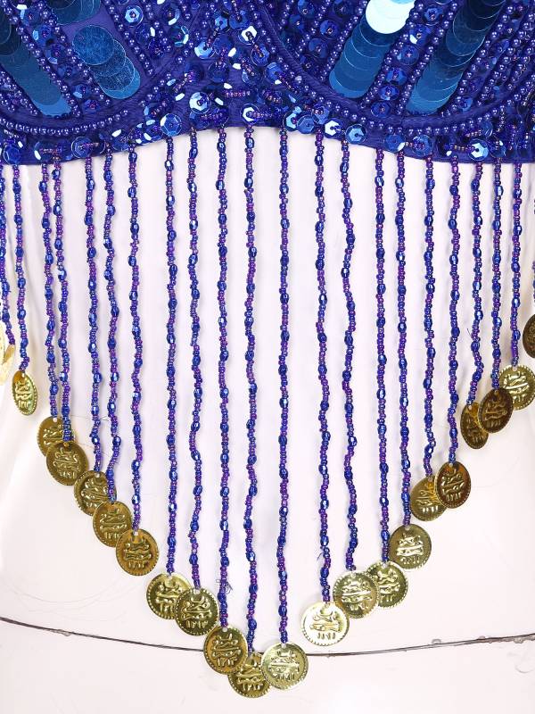Women Straps Sequins Plastic Beaded Tassels Belly Dance Underwired Bra Top thumb