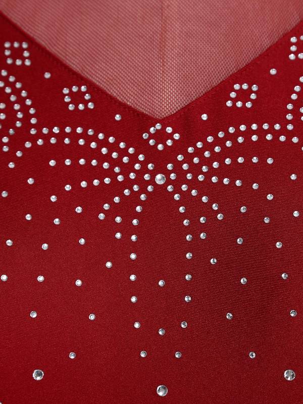 Women Sleeveless Rhinestones Sheer Mesh Patchwork Tassel Lyrical Dance Leotard thumb