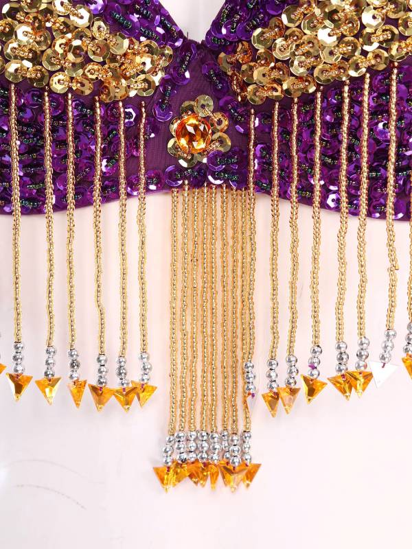 Women 2pcs Sequins Beaded Tassels Bra and Side Split Pants Belly Dance Set thumb