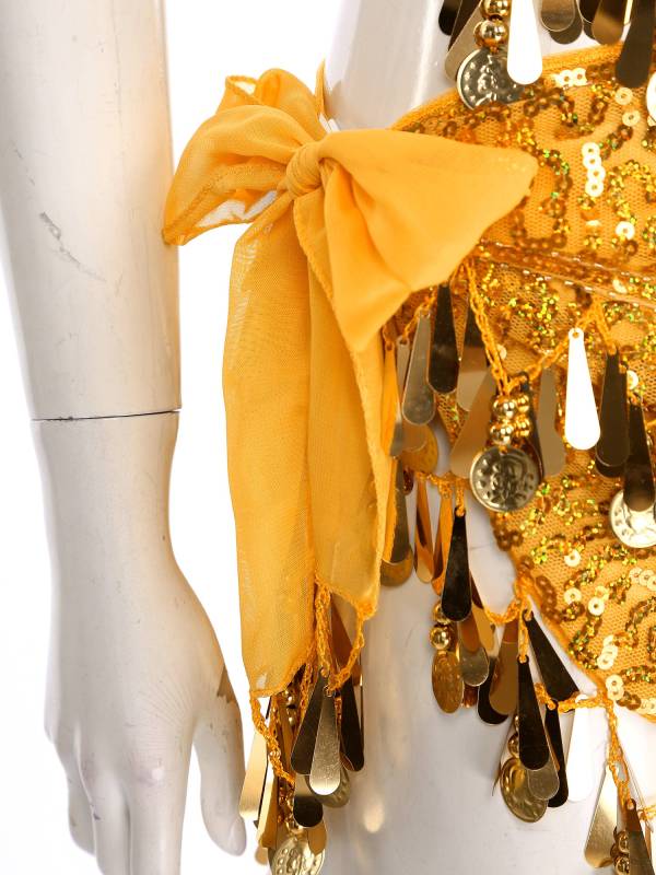 Women Belly Dance Outfit Sequins Camisole Top and Plastic Beads Tassels Skirt thumb