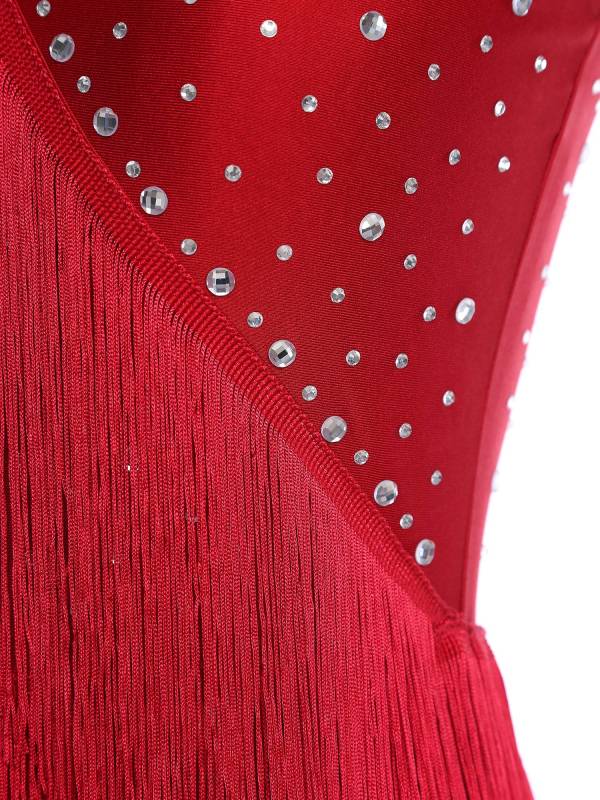 Women Sleeveless V Neck Tassels Latin Dance Dress Jazz Ballroom Leotard thumb