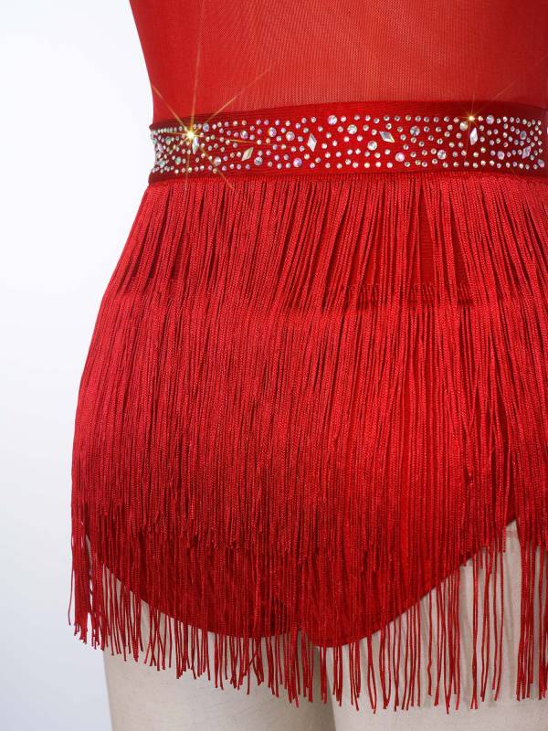 Womens Rhinestone Sleeveless Tassel Latin Tango Dance Leotard Dress thumb