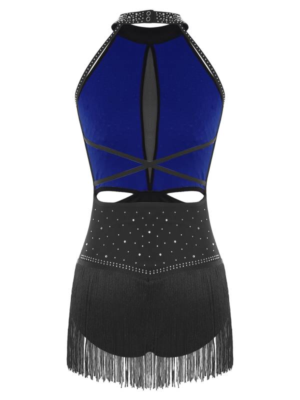 Women's Rhinestone Fringe Latin Dance Dress for Cha-Cha, Rumba & Gymnastics thumb