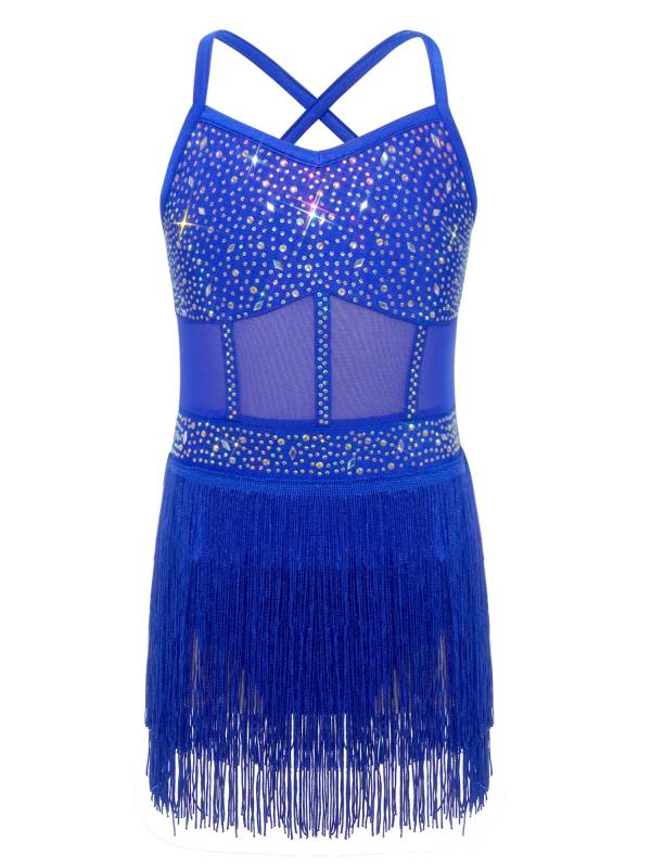 Kids Girls Rhinestone Sleeveless Fringed Latin Tango Dance Leotard Dress thumb