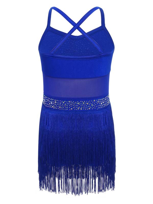 Kids Girls Rhinestone Sleeveless Fringed Latin Tango Dance Leotard Dress thumb