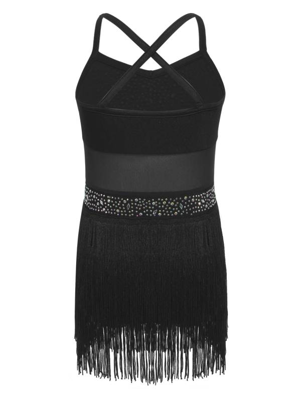 Kids Girls Rhinestone Sleeveless Fringed Latin Tango Dance Leotard Dress thumb