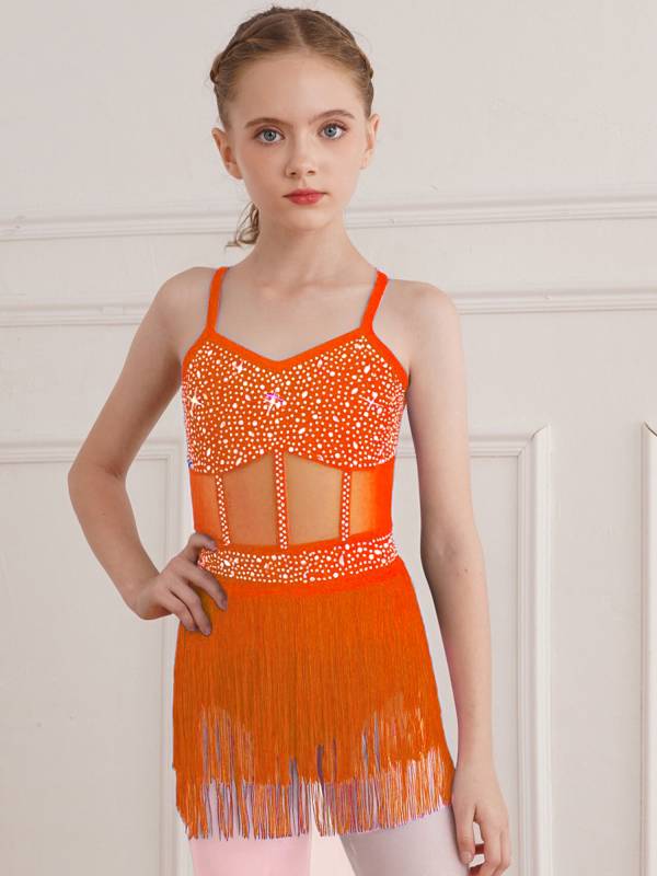 Kids Girls Rhinestone Sleeveless Fringed Latin Tango Dance Leotard Dress thumb