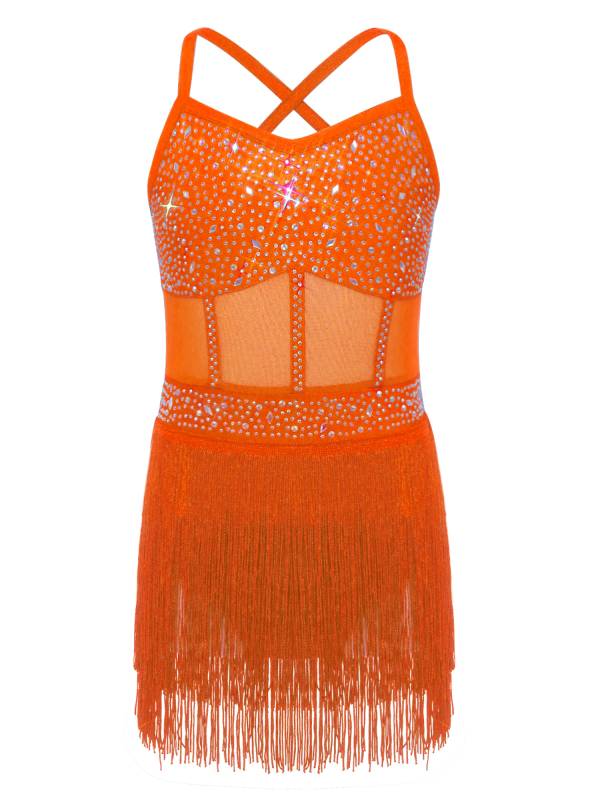 Kids Girls Rhinestone Sleeveless Fringed Latin Tango Dance Leotard Dress thumb