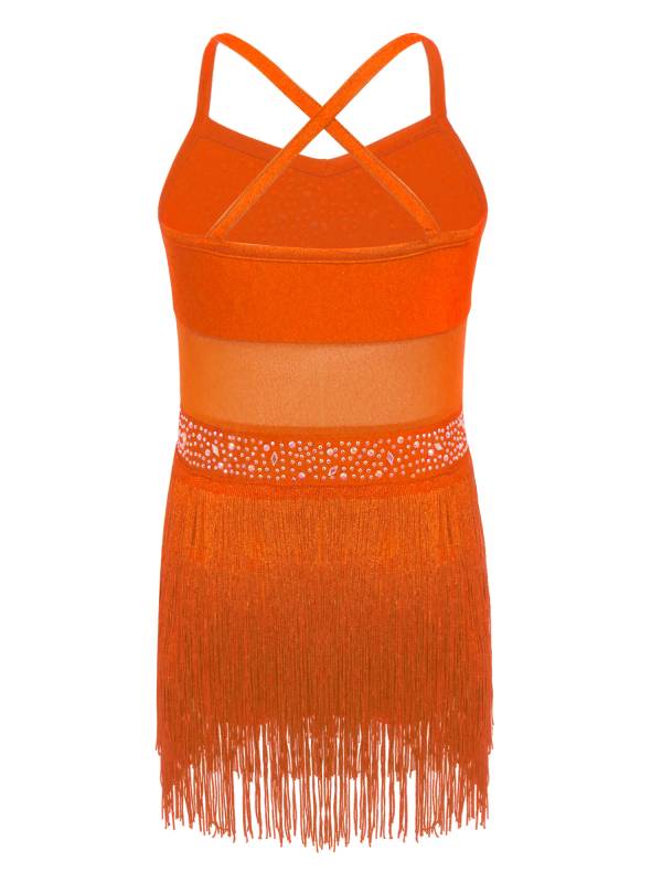 Kids Girls Rhinestone Sleeveless Fringed Latin Tango Dance Leotard Dress thumb