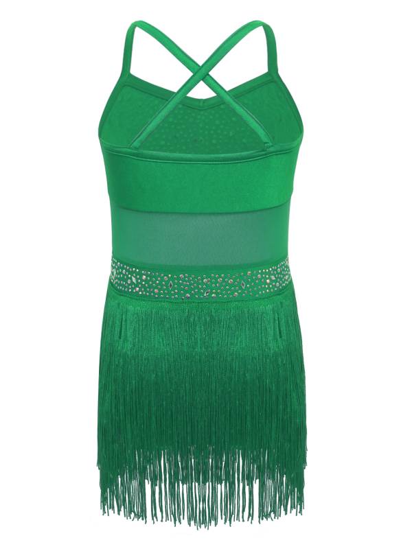 Kids Girls Rhinestone Sleeveless Fringed Latin Tango Dance Leotard Dress thumb