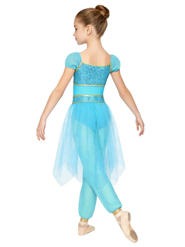 Girls Arabian Princess Tulle Jumpsuit Sequin Costume for Halloween, Belly Dance thumb