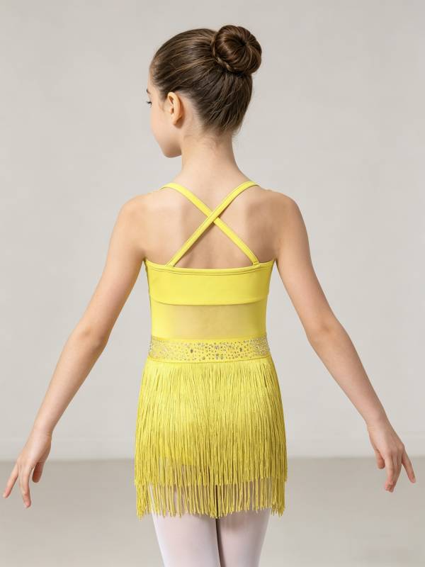 Kids Girls Rhinestone Sleeveless Fringed Latin Tango Dance Leotard Dress thumb
