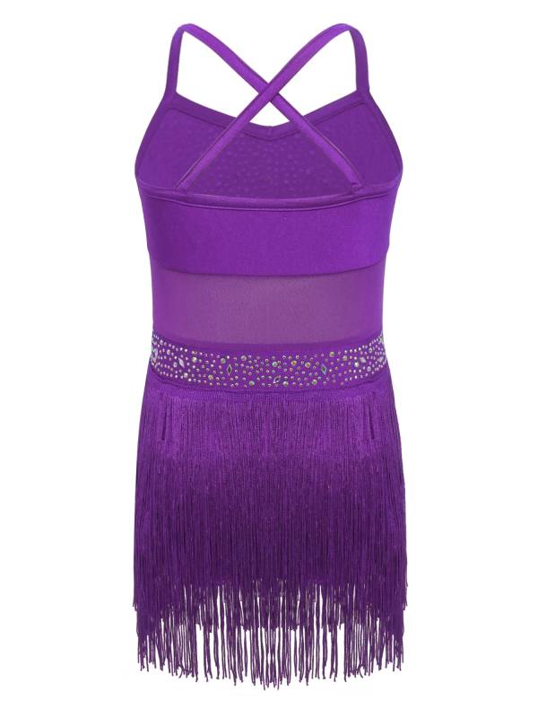 Kids Girls Rhinestone Sleeveless Fringed Latin Tango Dance Leotard Dress thumb