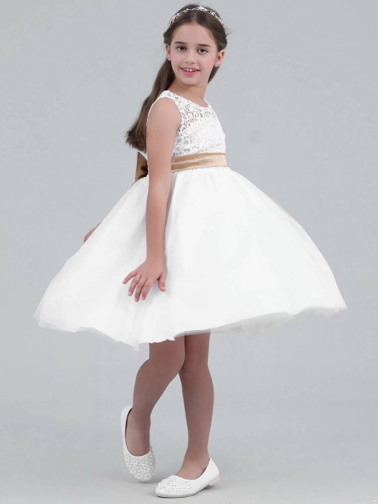 Toddler/Kids Girls A-line Party Dress