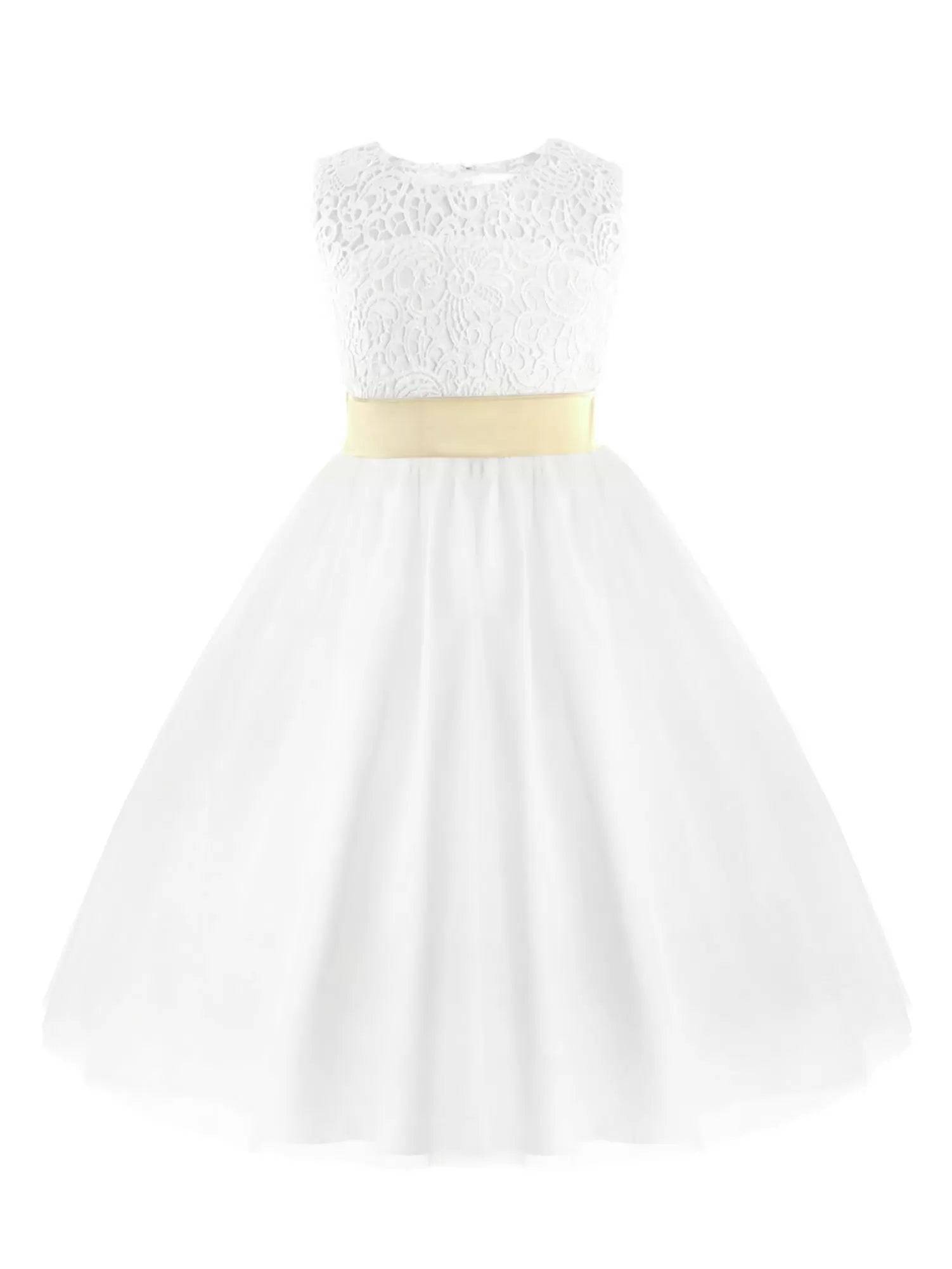 Toddler/Kids Girls A-line Party Dress