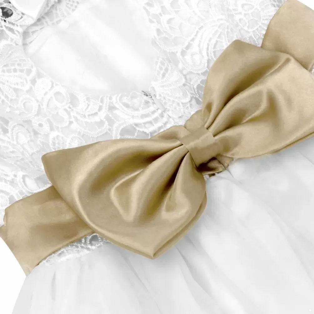 Toddler/Kids Girls A-line Party Dress