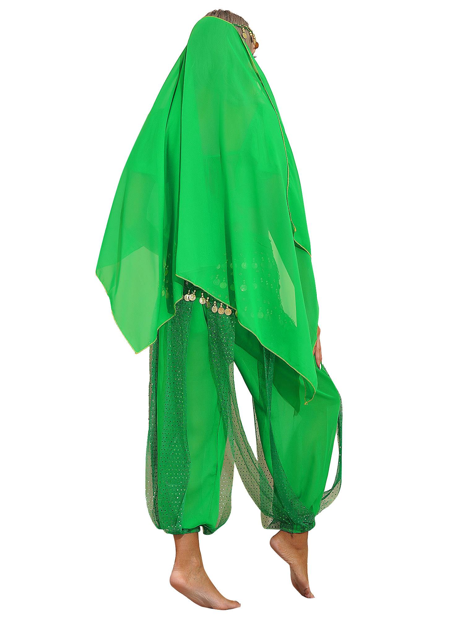 Women 4Pcs Belly Dance Puff Sleeve Sequin Crop Top with Pants Sets