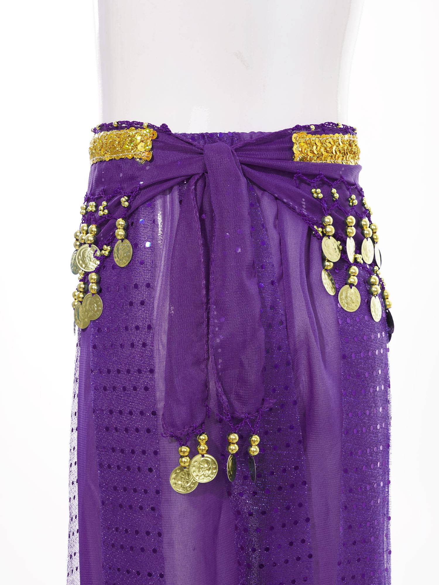Kids Girls Sequined Chiffon Belly Dance Pants