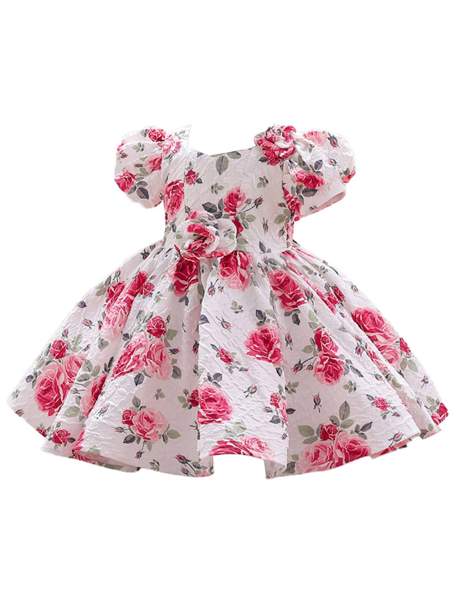 Toddler Girls Short Sleeve 3D Flower Applique A-Line Princess Dress