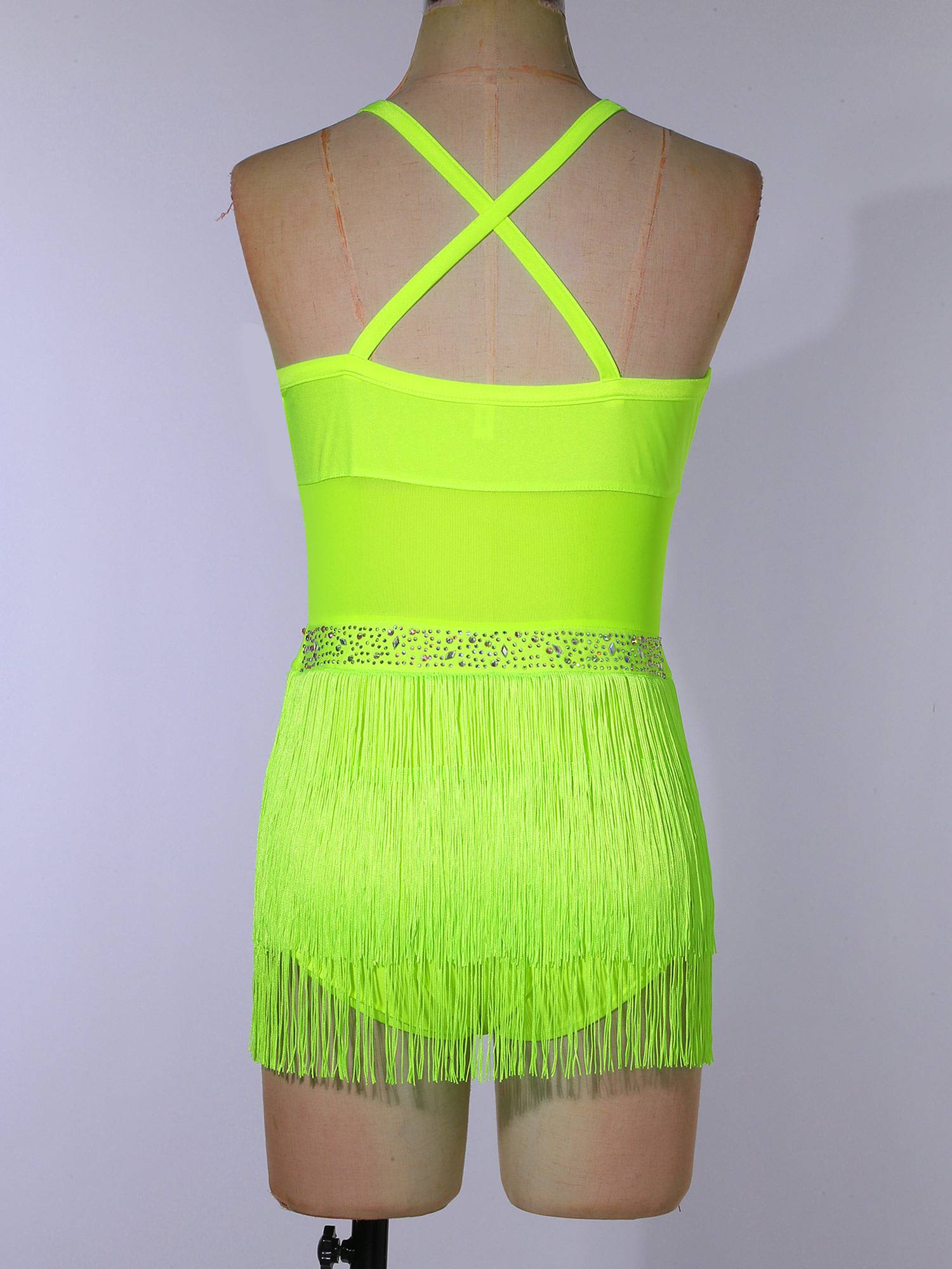 Womens Rhinestone Sleeveless Tassel Latin Tango Dance Leotard Dress