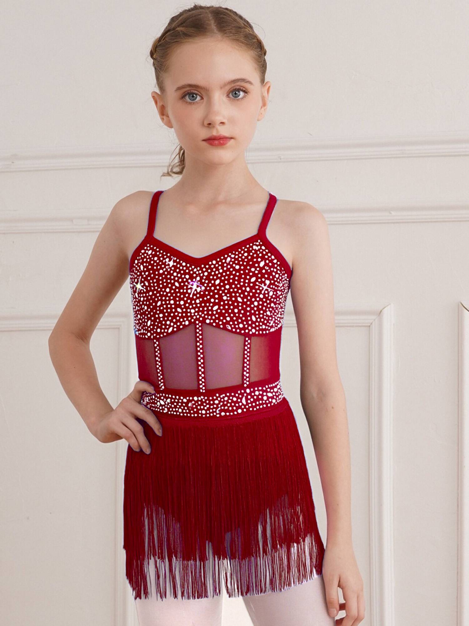 Kids Girls Rhinestone Sleeveless Fringed Latin Tango Dance Leotard Dress