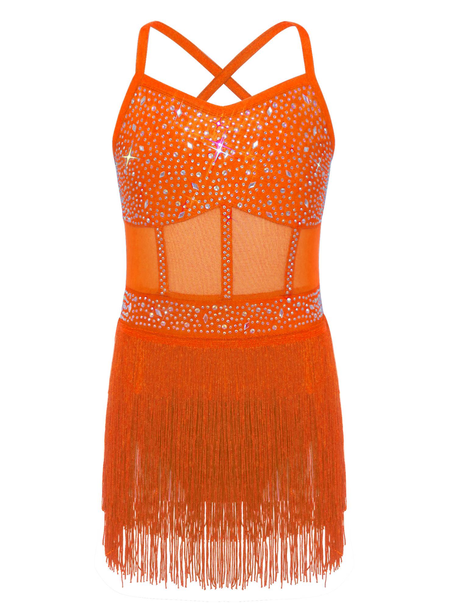Kids Girls Rhinestone Sleeveless Fringed Latin Tango Dance Leotard Dress