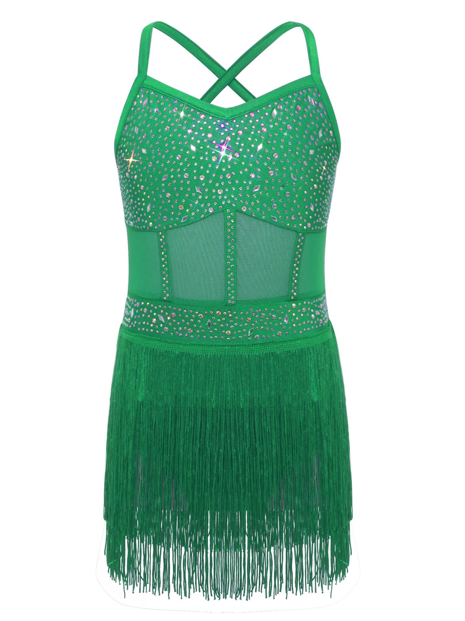 Kids Girls Rhinestone Sleeveless Fringed Latin Tango Dance Leotard Dress