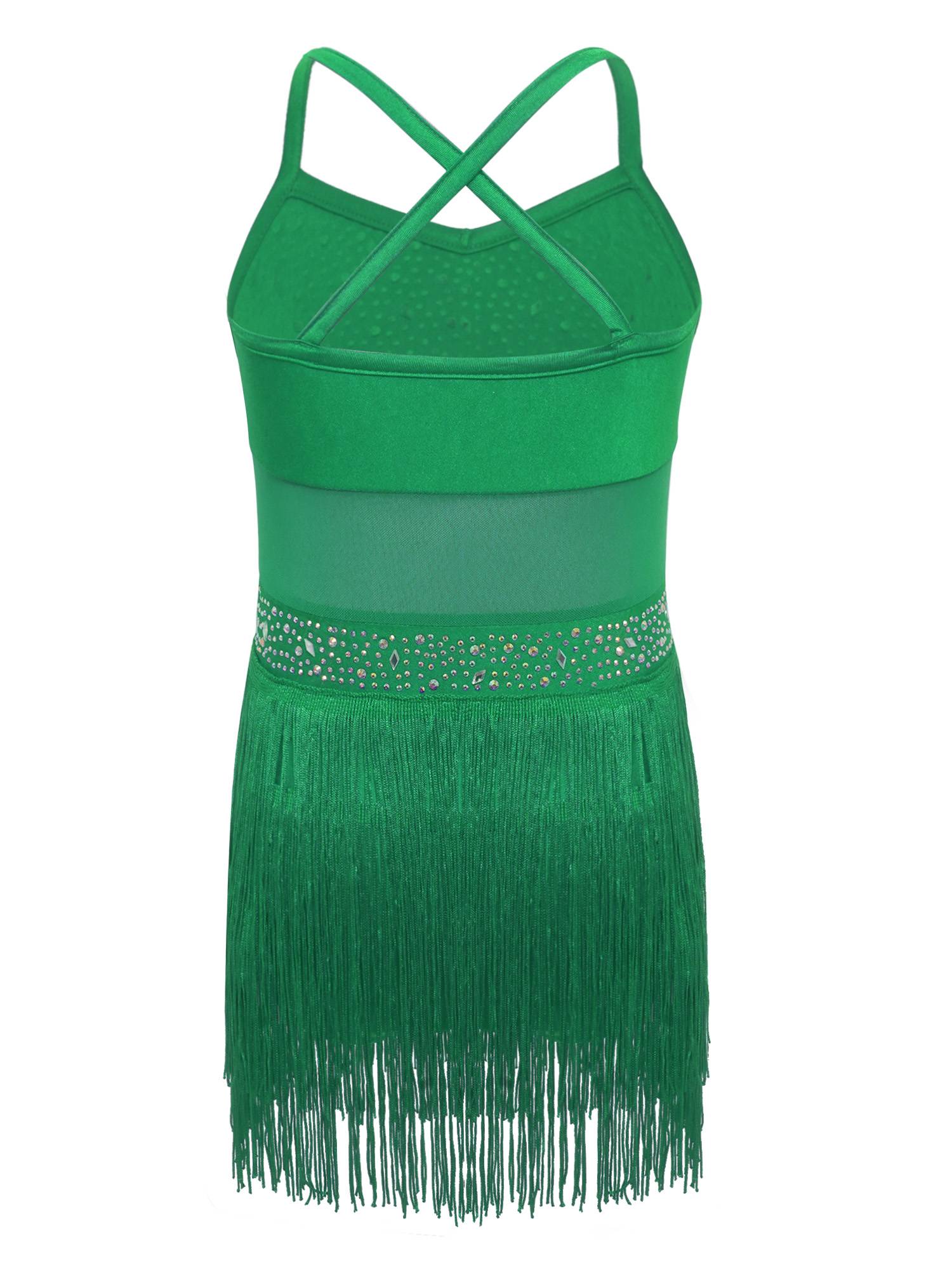 Kids Girls Rhinestone Sleeveless Fringed Latin Tango Dance Leotard Dress